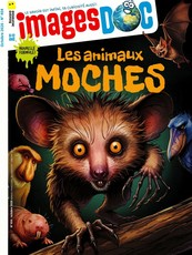 Images Doc