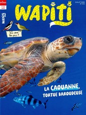 Wapiti